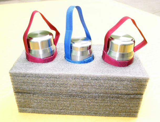 Piglet Protective Foam